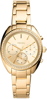 Fossil Vale BQ3658